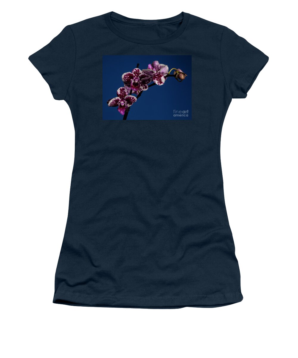 Orchid Women's T-Shirt featuring the photograph Dazzle #1 by Doug Norkum