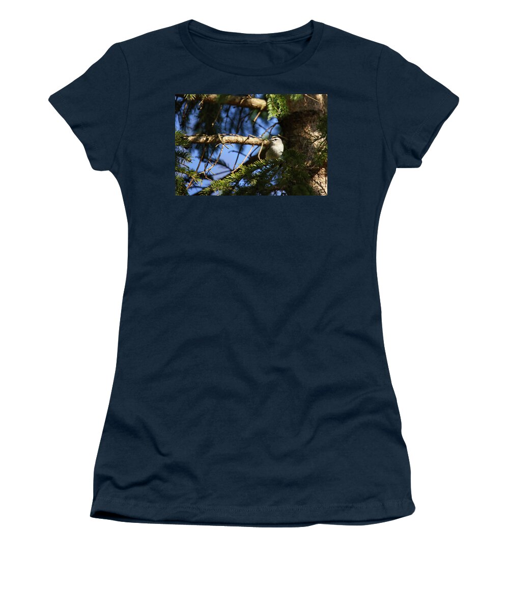 Gold Crowned Kinglet Women's T-Shirt featuring the photograph Gold Crowned Kinglet #2 by Brook Burling