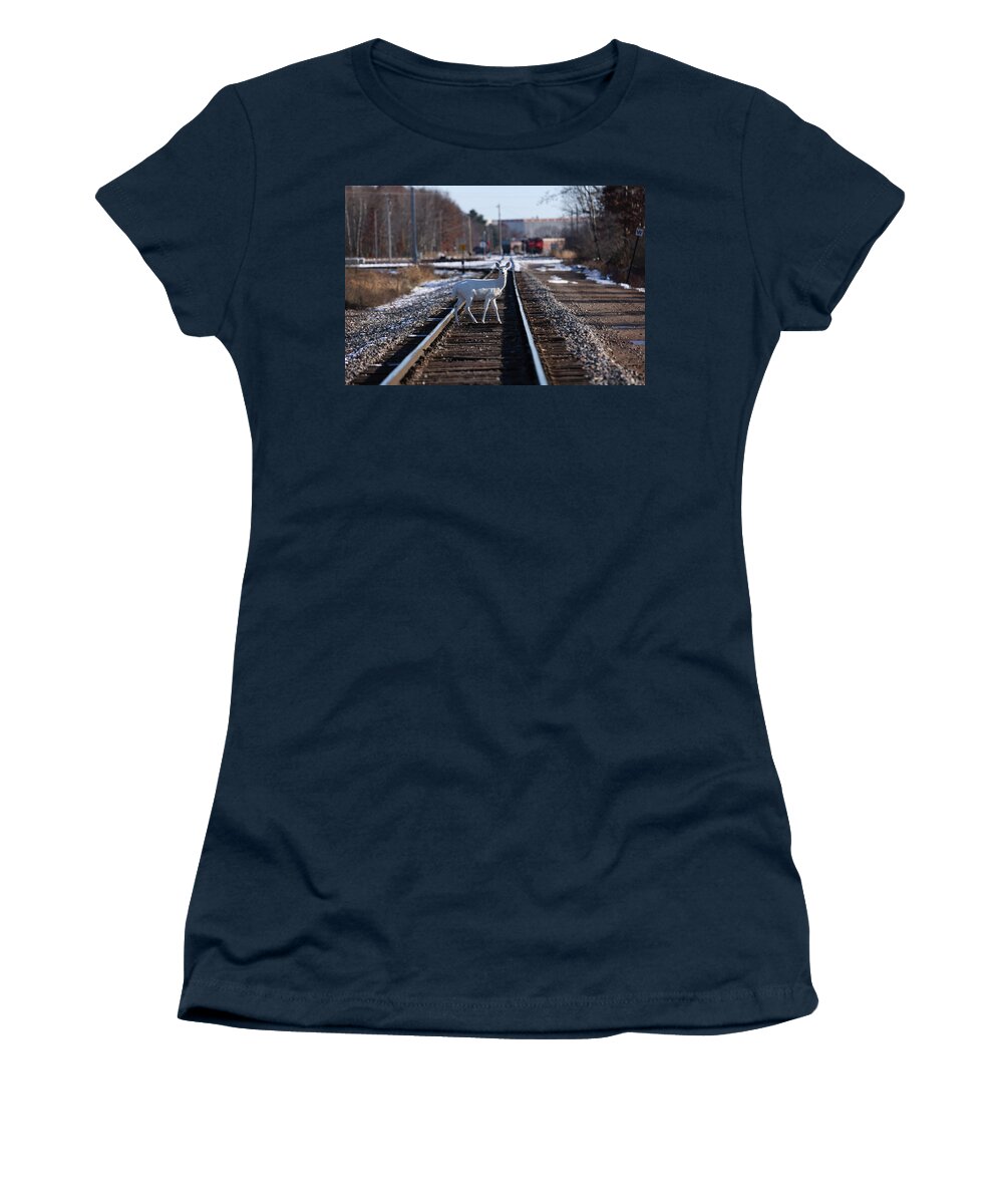 White Women's T-Shirt featuring the photograph White Deer #36 by Brook Burling
