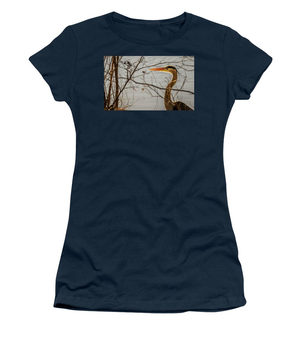 Wildlife Women's T-Shirt featuring the photograph Great Blue Heron #4 by Rick Nelson