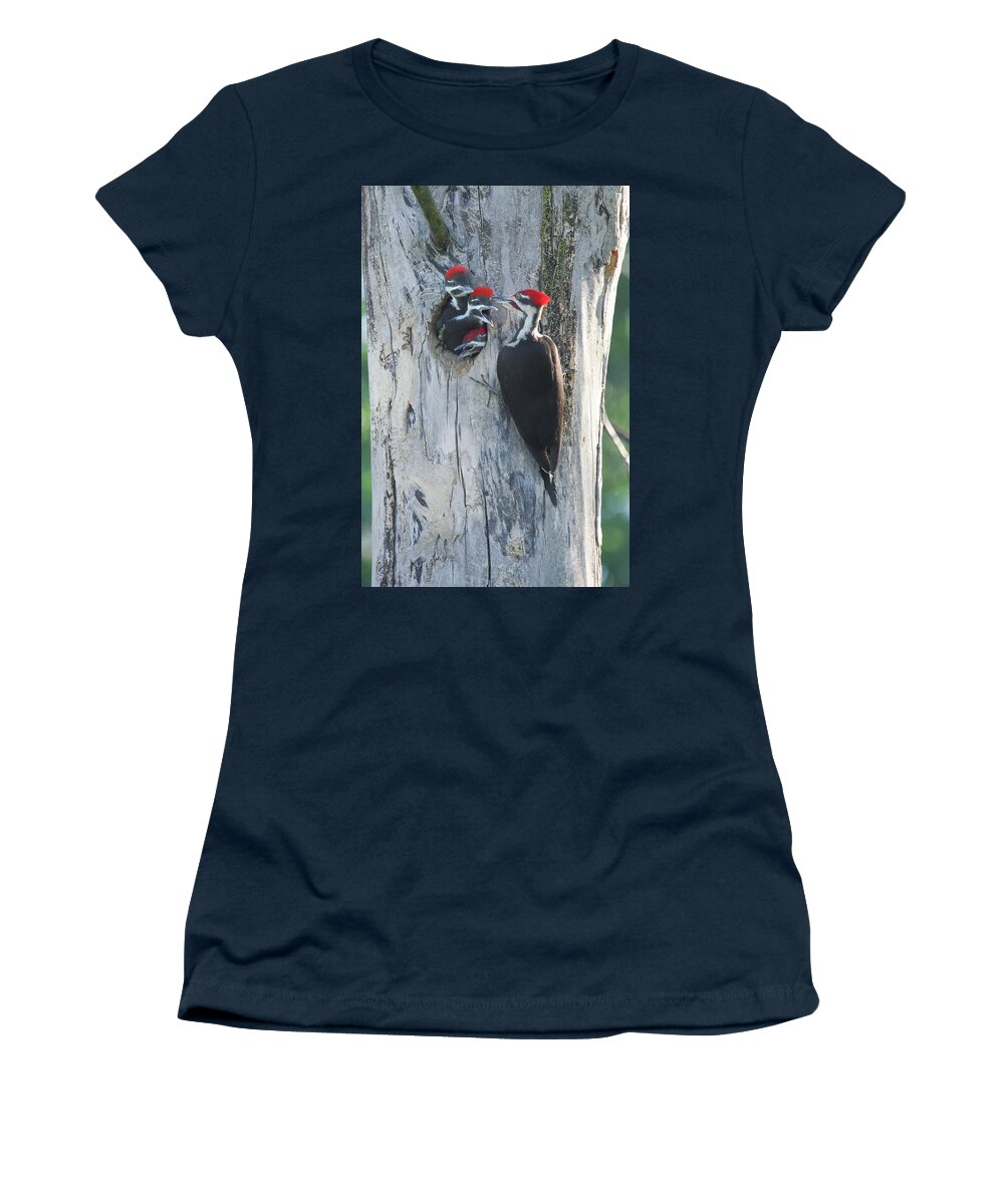 Pilieated Woodpecker Women's T-Shirt featuring the photograph Pileated Woodpecker Family #4 by Brook Burling