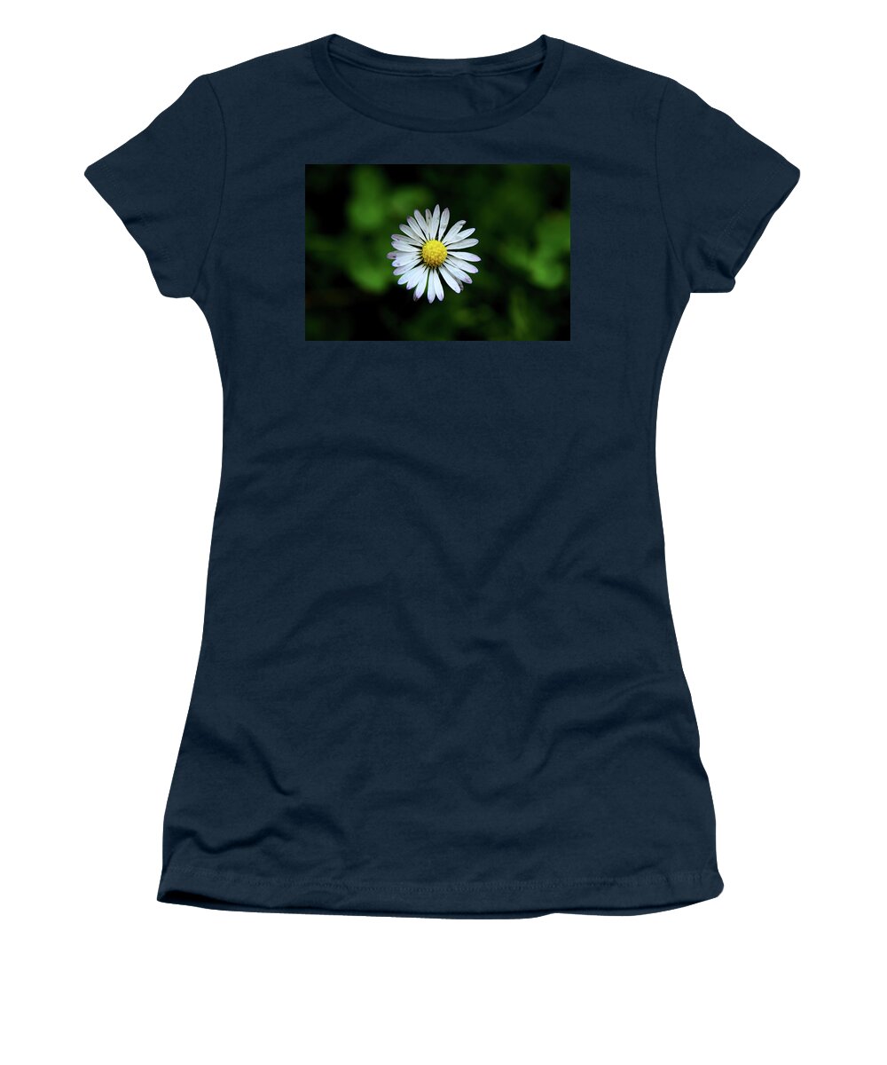 Bellis Perennis Women's T-Shirt featuring the photograph Beautiful Bellis Perennis in grass by Vaclav Sonnek