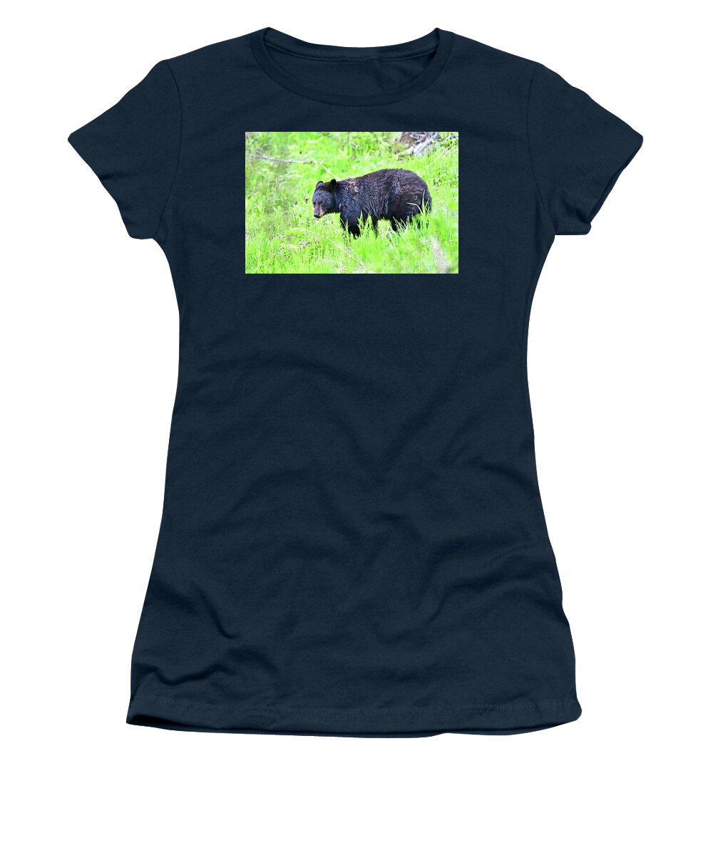 Black Bear Women's T-Shirt featuring the photograph A Black Bear at Yellowstone by Amazing Action Photo Video