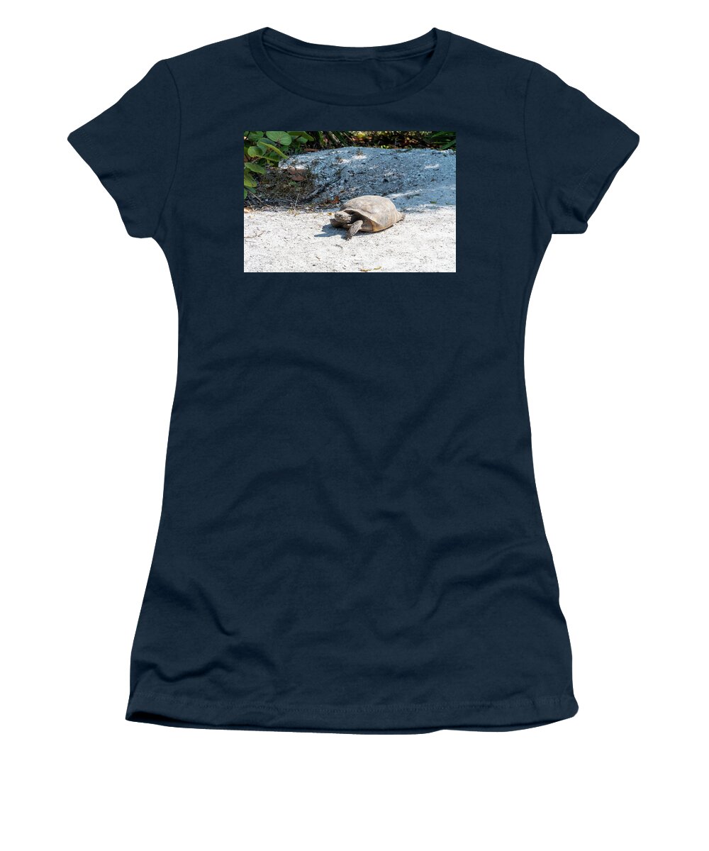 Florida Women's T-Shirt featuring the photograph A Gopher Tortoise roams from its mound at Lovers Key State Park by William Kuta