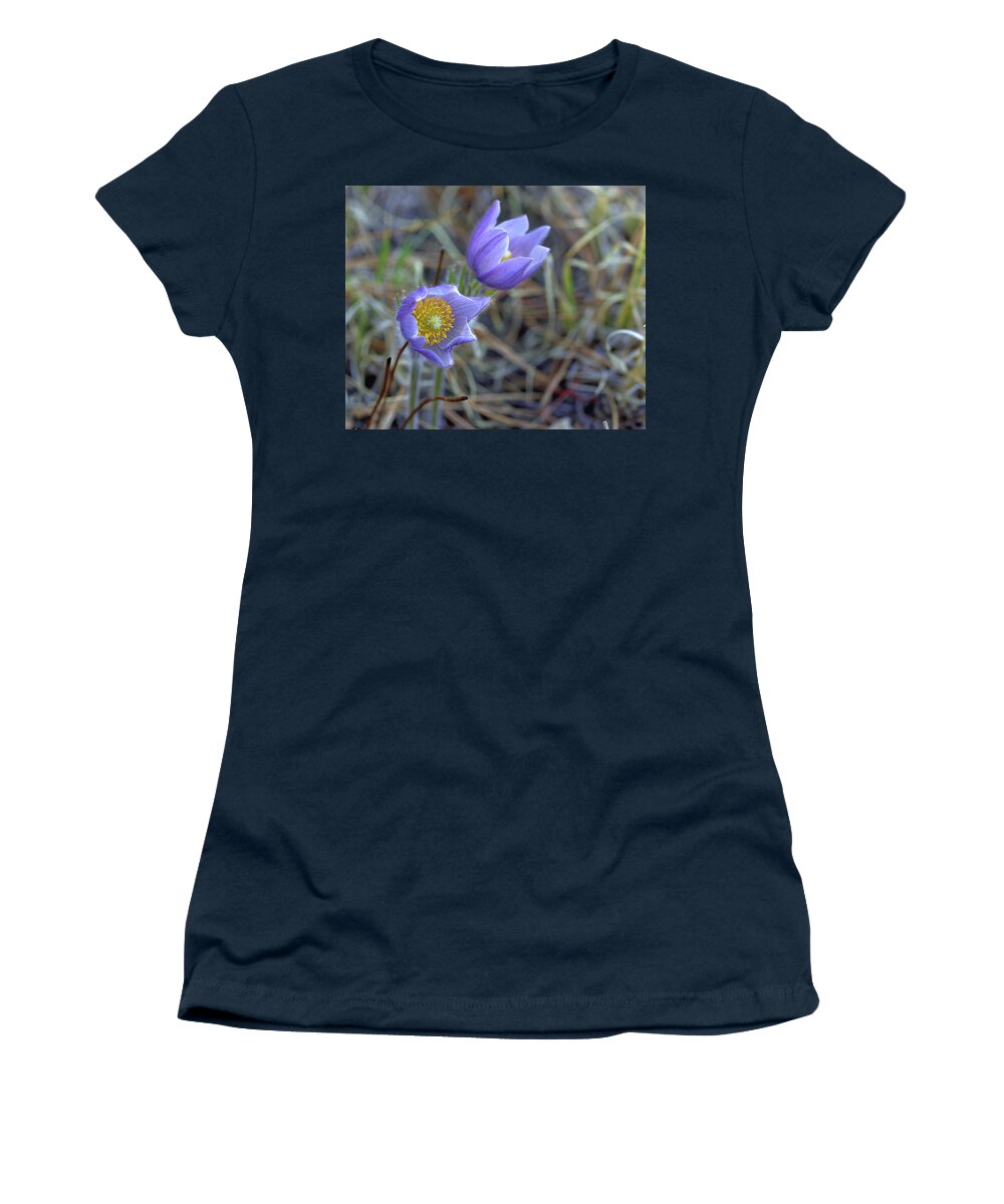 Pasque Flowers Women's T-Shirt featuring the photograph A Pair of Pasque Flowers by Bob Falcone