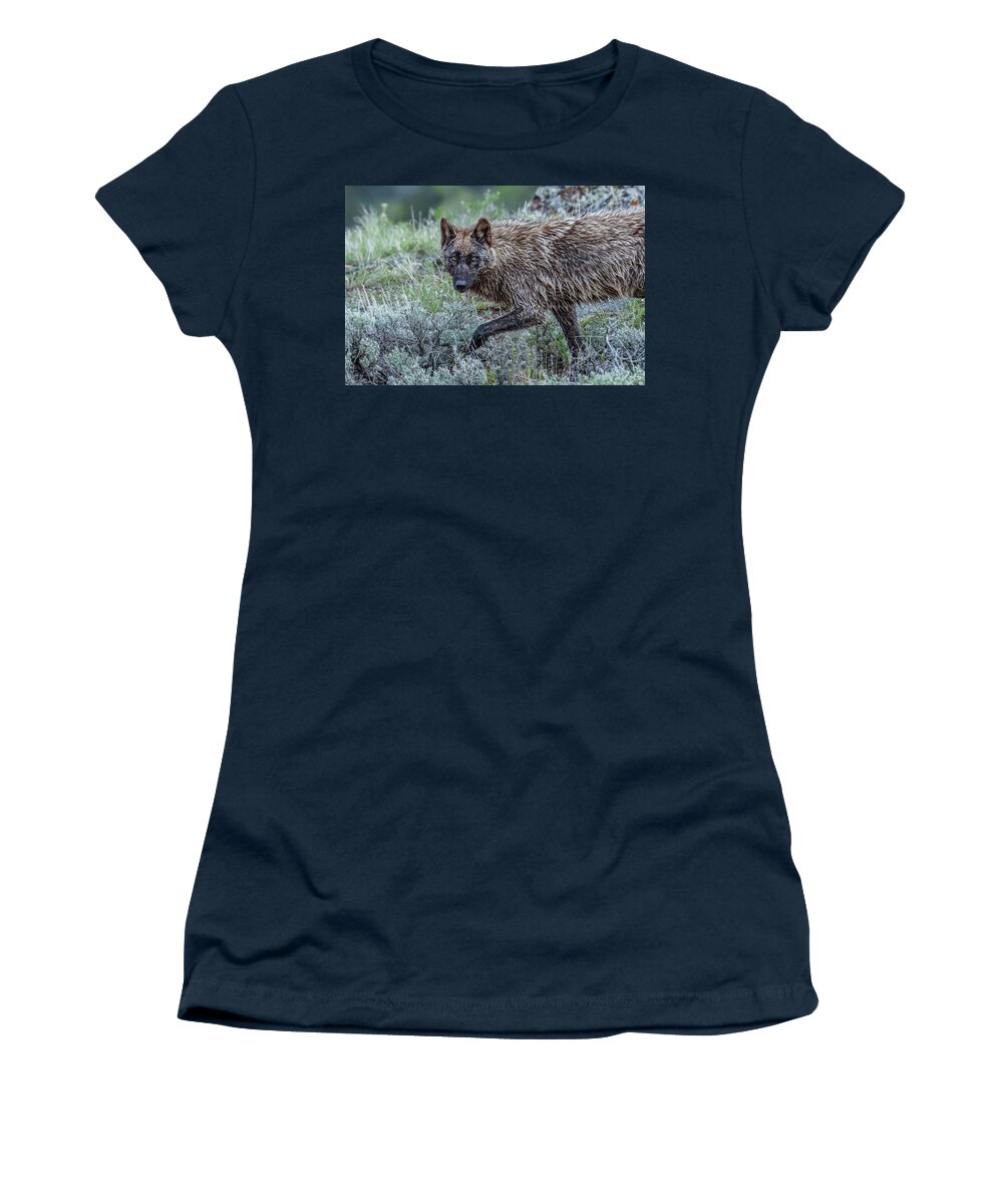 Star Women's T-Shirt featuring the photograph A Star In Lamar by Yeates Photography