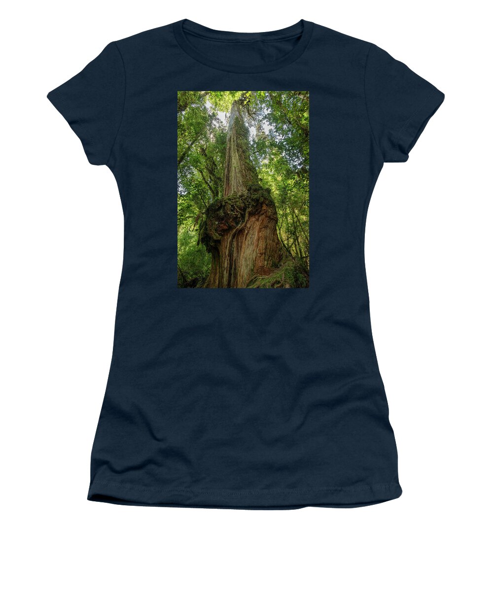 Alerce Women's T-Shirt featuring the photograph A tall and majestic Alerce Fitzroya tree by Henri Leduc