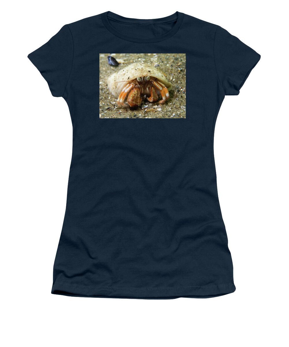 Crab Women's T-Shirt featuring the photograph Acadian Hermit Crab by Brian Weber