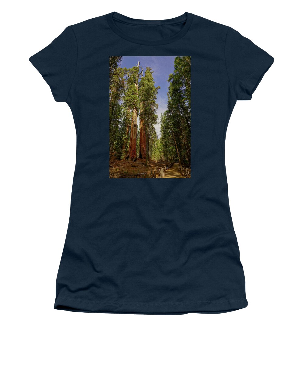 Giant Sequoia Trees Women's T-Shirt featuring the photograph Grant Gove Trail by Brett Harvey