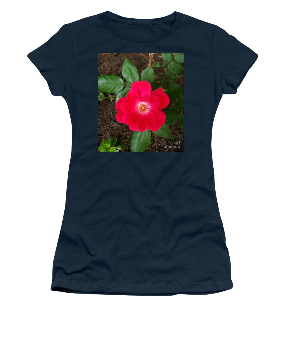 A Rose Women's T-Shirt featuring the painting All Love by Margaret Welsh Willowsilk