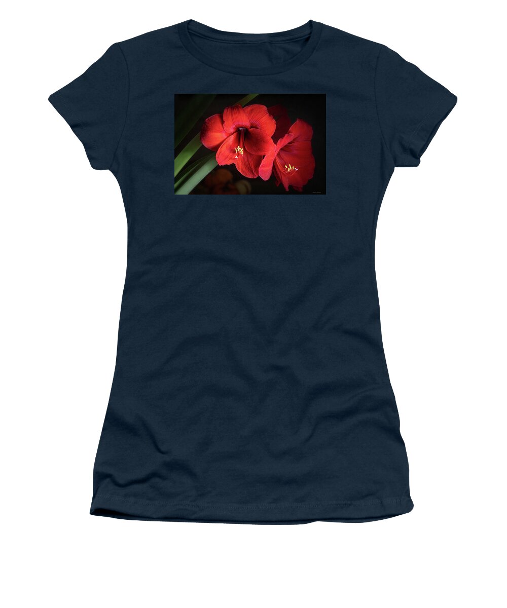 Amaryllis Women's T-Shirt featuring the photograph Amaryllis by Morning by Michael McKenney