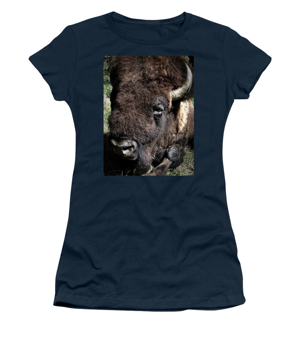Buffalo Women's T-Shirt featuring the photograph American Bison by Rene Vasquez