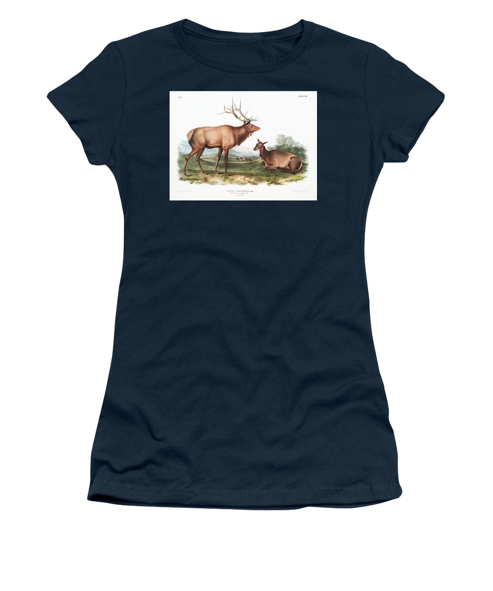 American Animals Women's T-Shirt featuring the mixed media American Elk. John Woodhouse Audubon Illustration by World Art Collective