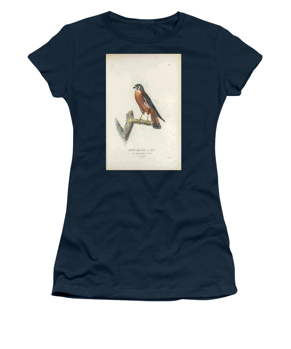 American Women's T-Shirt featuring the photograph American kestrel Falco sparverius t1 by Historic illustrations