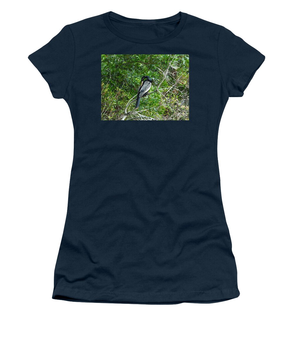 Anhinga Women's T-Shirt featuring the photograph Anhinga Anhinga by Scott Cameron