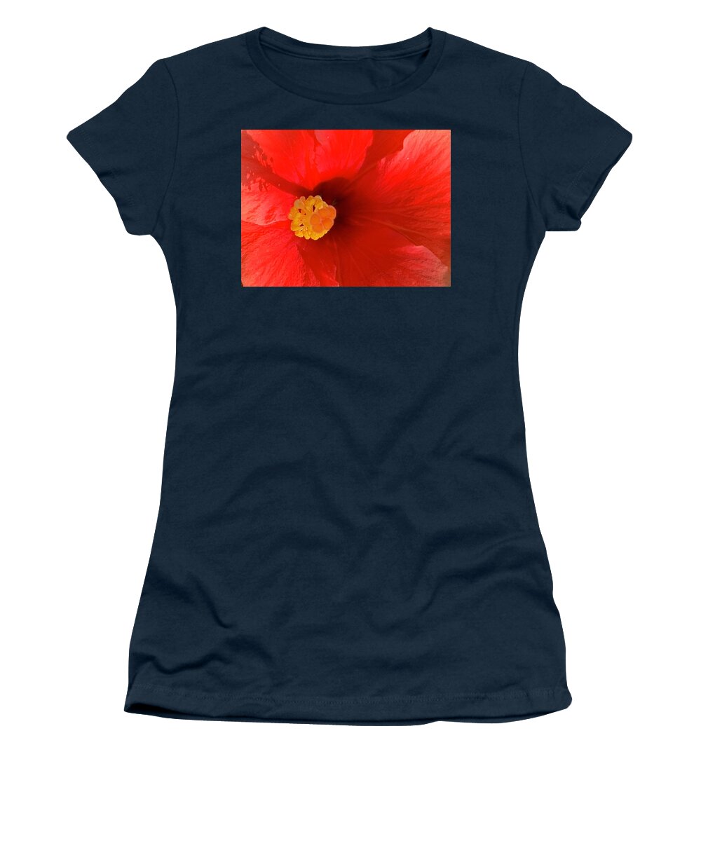 Flower Women's T-Shirt featuring the photograph Ardent Bloom Bringing Sunlight To The Feast Day Of Saint Simon The Zealot by Tiesa Wesen