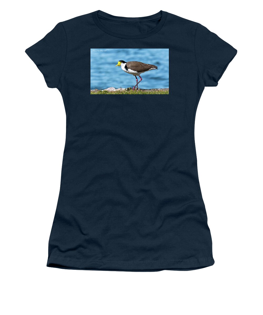Australian Plover Women's T-Shirt featuring the digital art Australian plover 893 by Kevin Chippindall