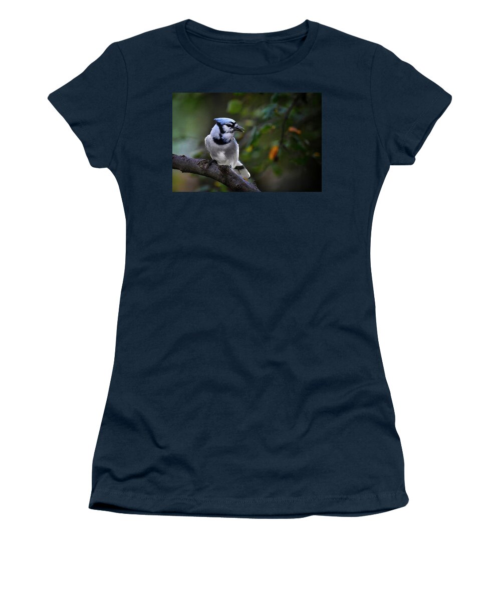 Limited Women's T-Shirt featuring the photograph Backyard Bully by DArcy Evans