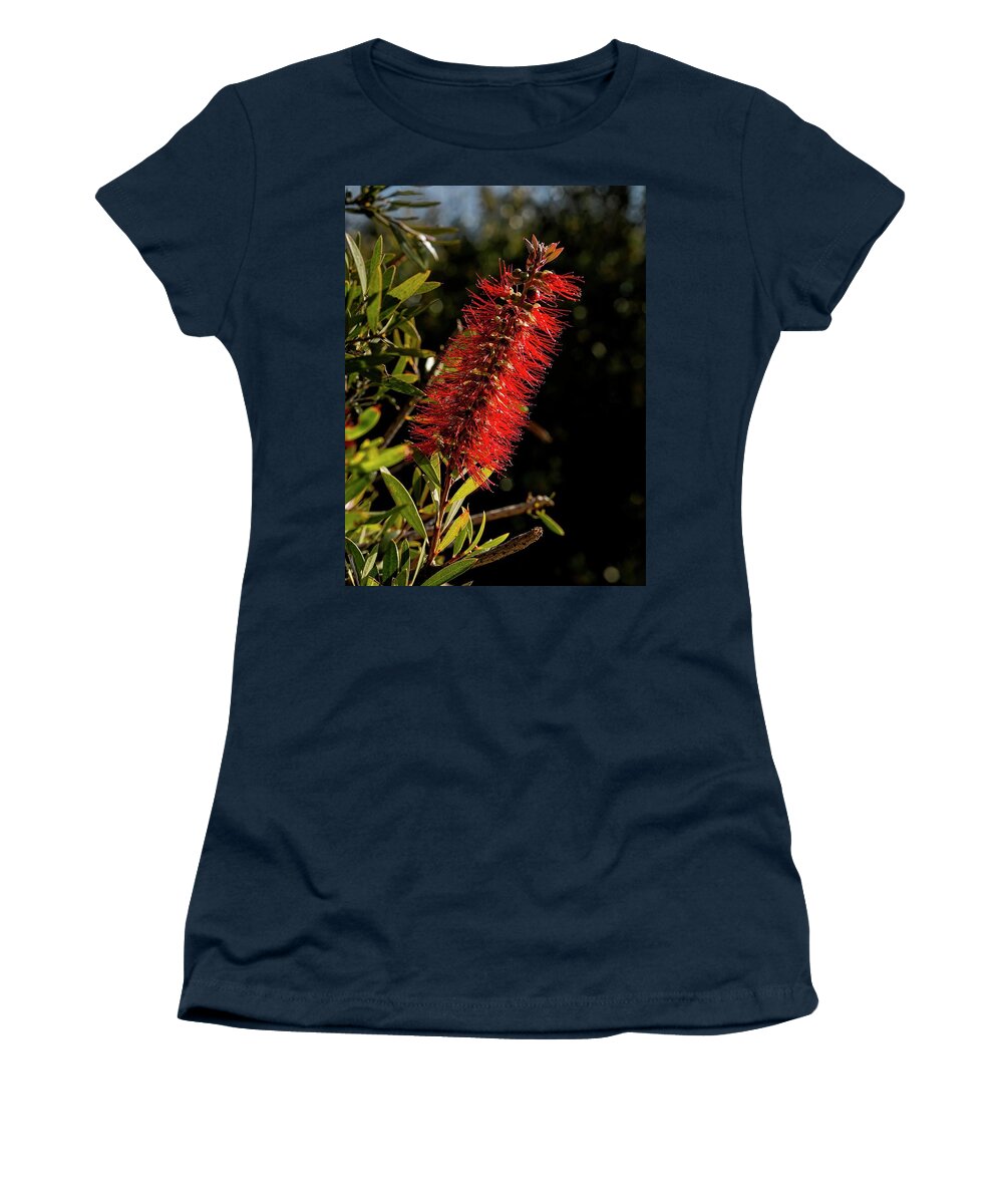 Banksia Women's T-Shirt featuring the photograph Bottlebrush - Canberra _ Australia by Steven Ralser