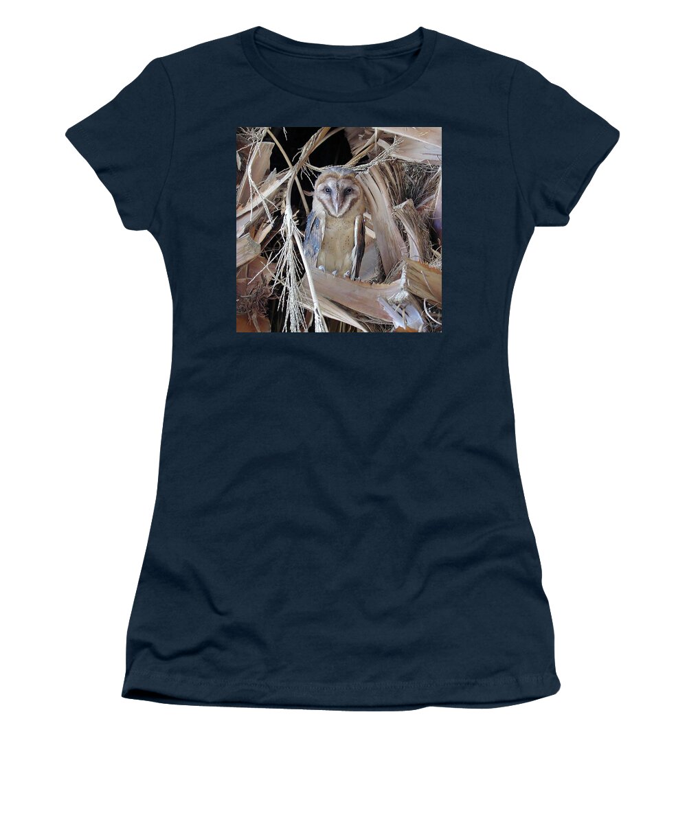 Barn Owl Women's T-Shirt featuring the photograph Barn Owl by Perry Hoffman