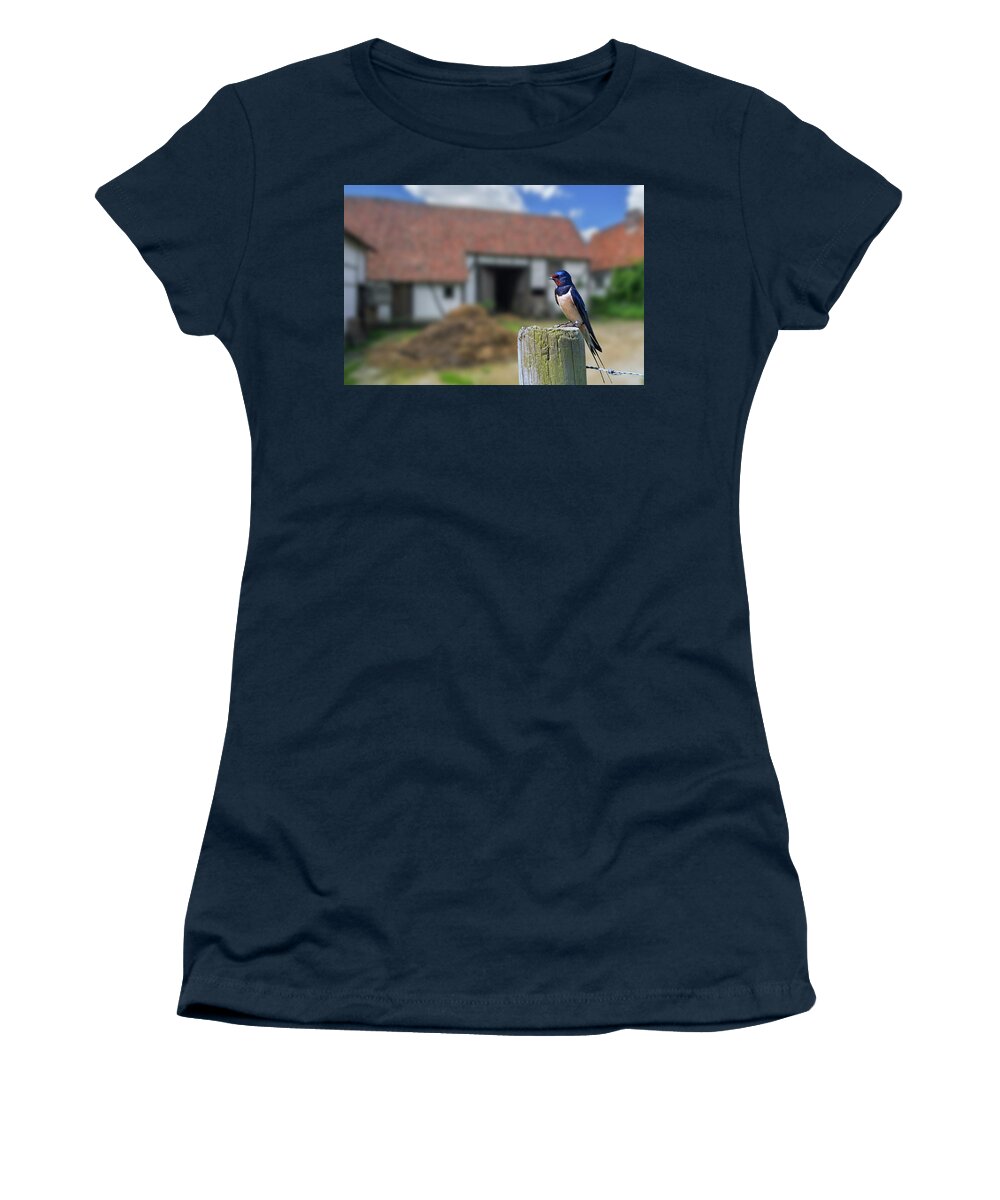 Barn Swallow Women's T-Shirt featuring the photograph Barn Swallow at Farm by Arterra Picture Library