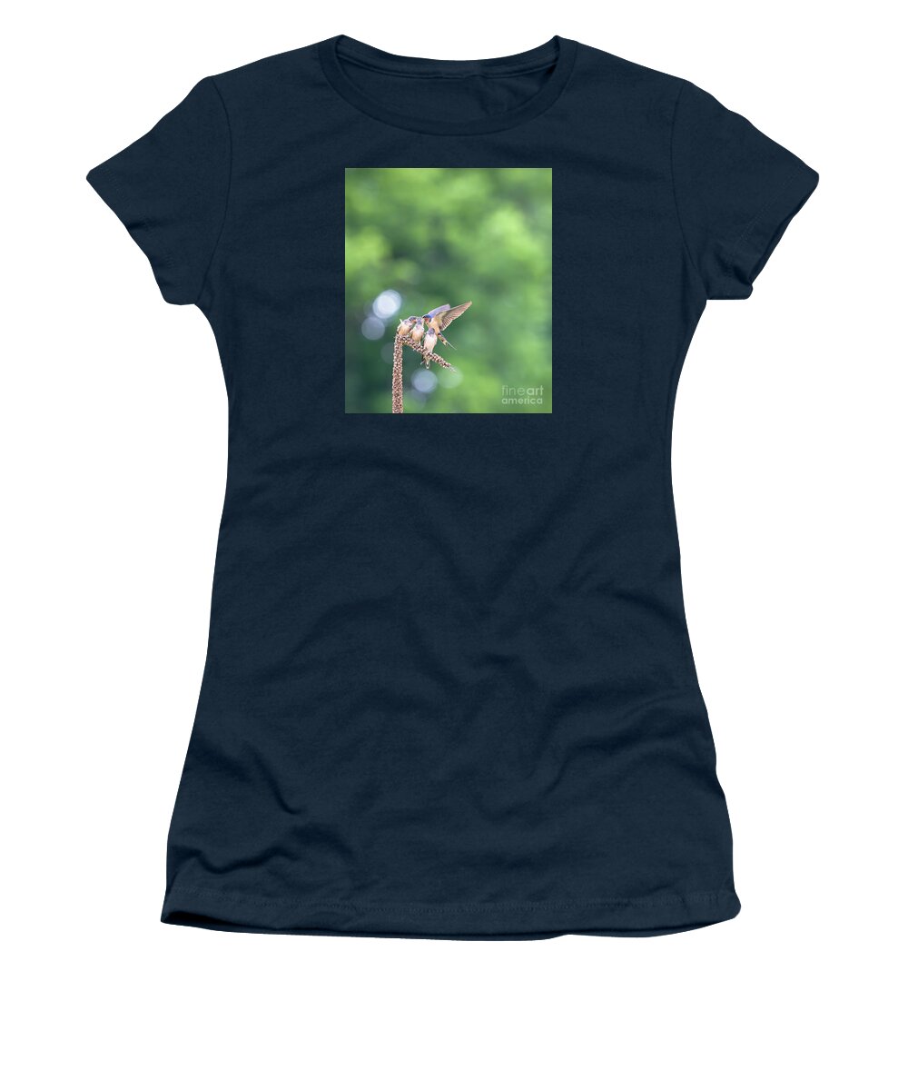 Barn Swallows Women's T-Shirt featuring the photograph Barn Swallow Feeding Chicks by Rehna George