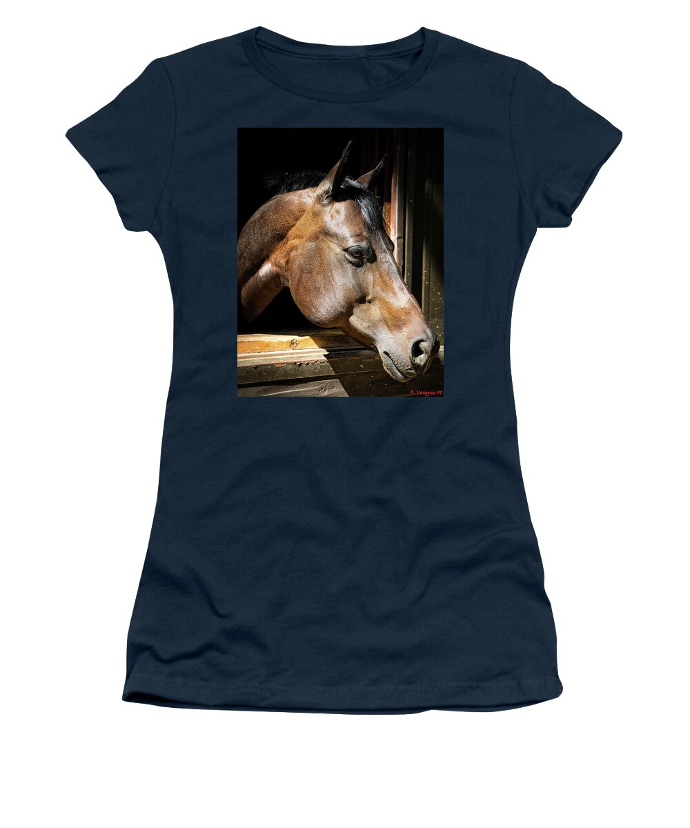 Horse Women's T-Shirt featuring the photograph Bay Mare In Barn by Rene Vasquez