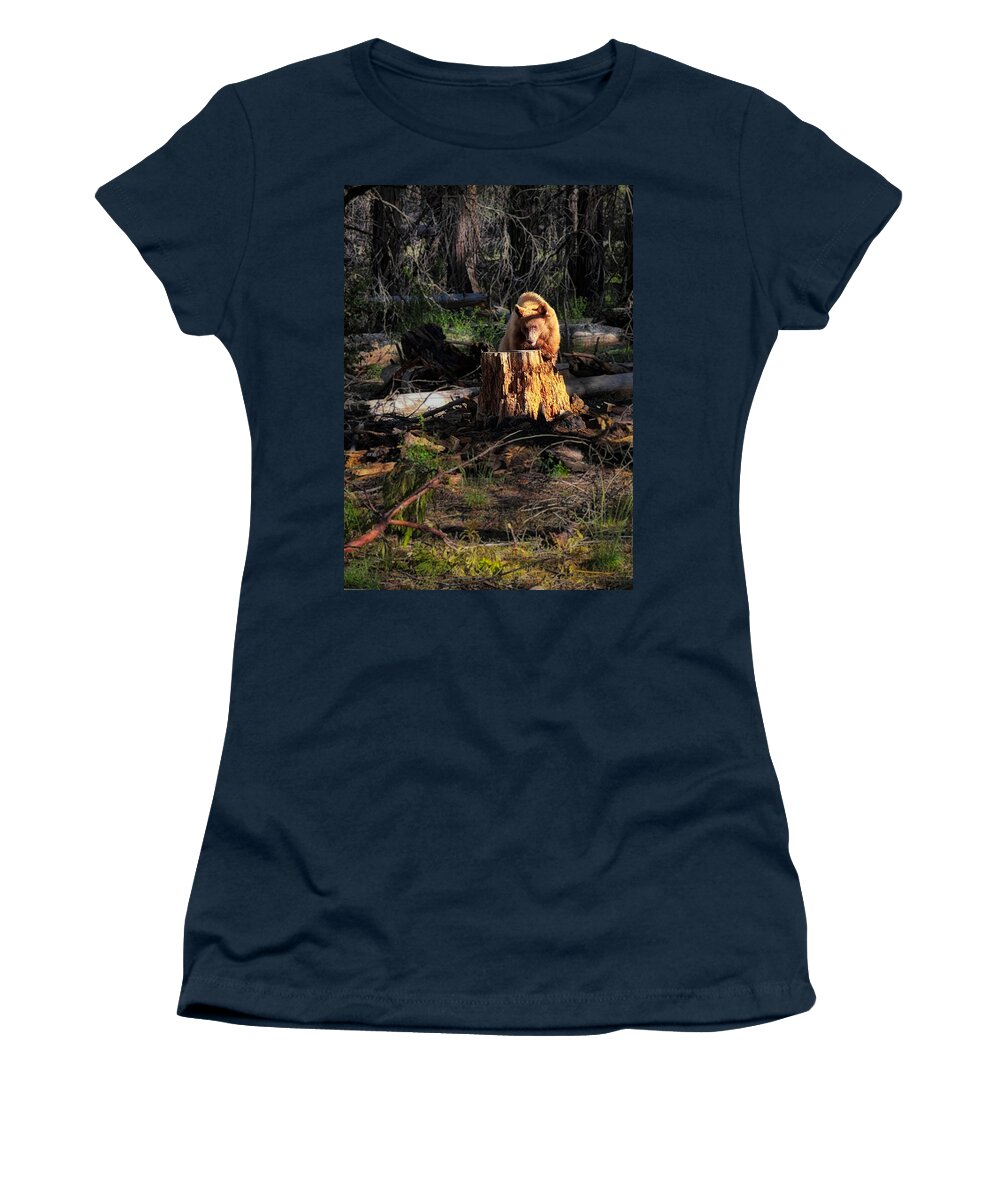 Photograph Women's T-Shirt featuring the photograph Bear at Yosemite National Park by John A Rodriguez