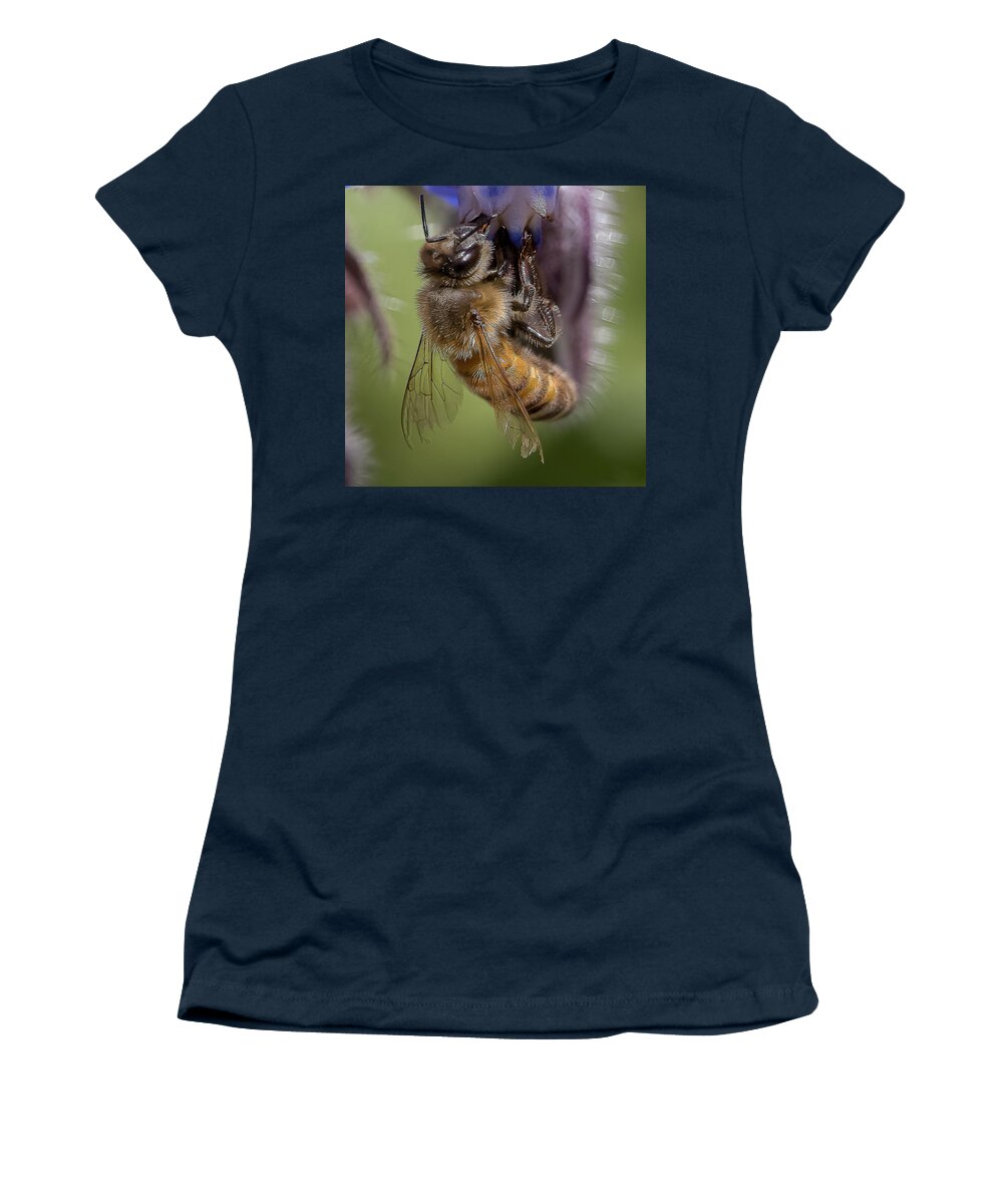 Honeybee Women's T-Shirt featuring the photograph Bee on Starflower by Cheri Freeman