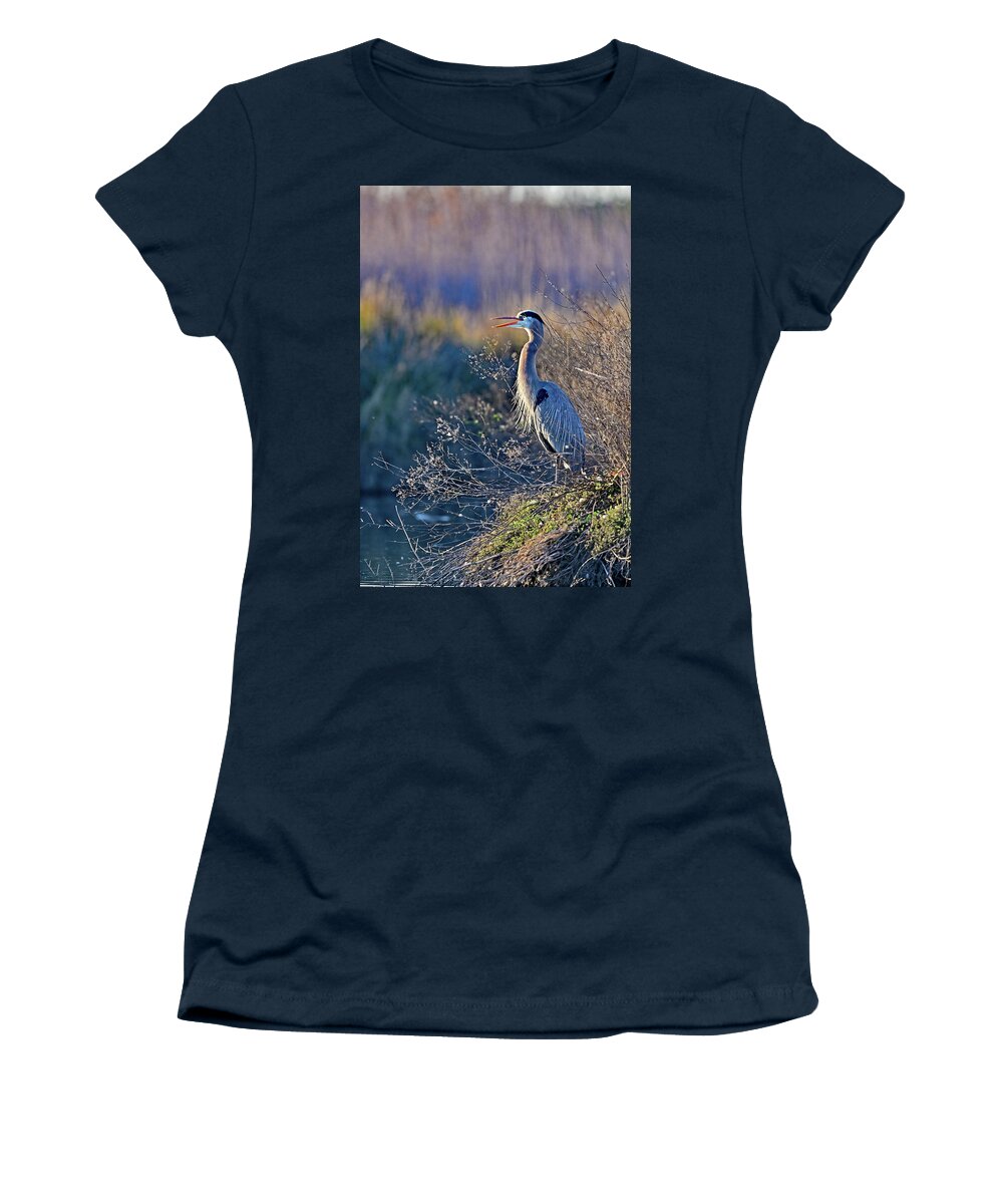 Ardea Herodias Women's T-Shirt featuring the photograph Bill Wide Opened - Blue Heron, Ardea herodias by Amazing Action Photo Video