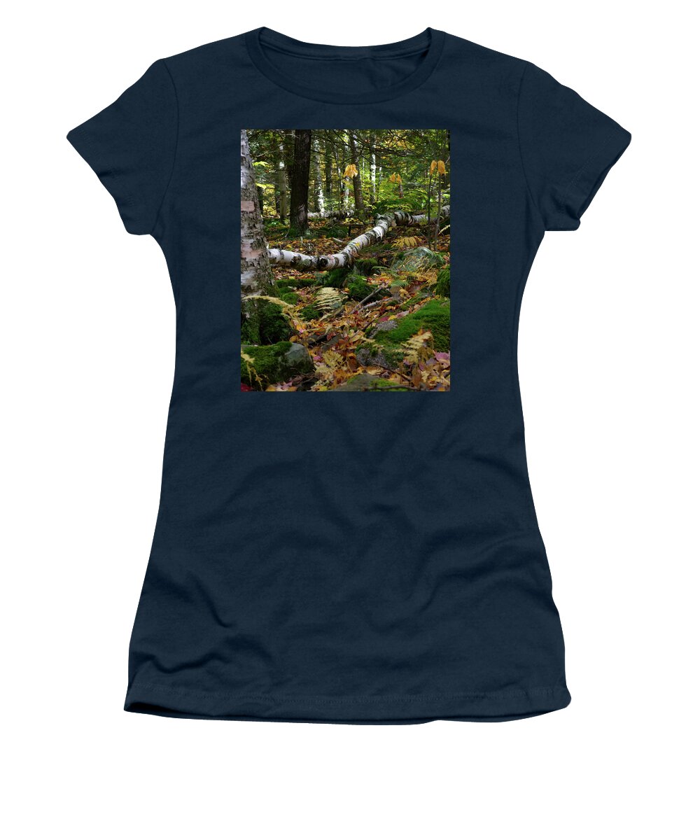 Woods Women's T-Shirt featuring the photograph Birch Tree Down In the Catskills by Flinn Hackett