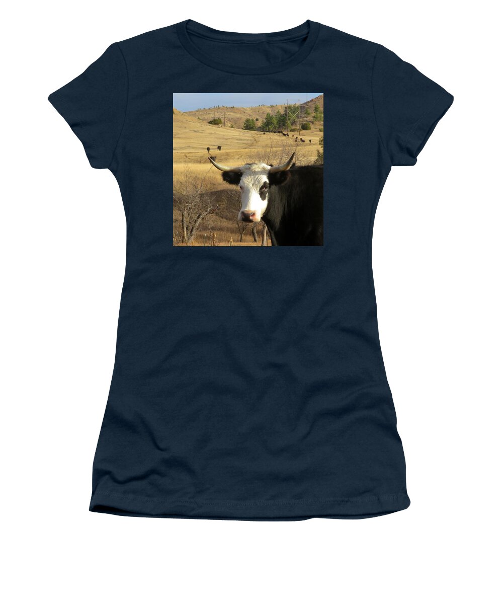 Cow Women's T-Shirt featuring the photograph Black Baldy Cow by Katie Keenan