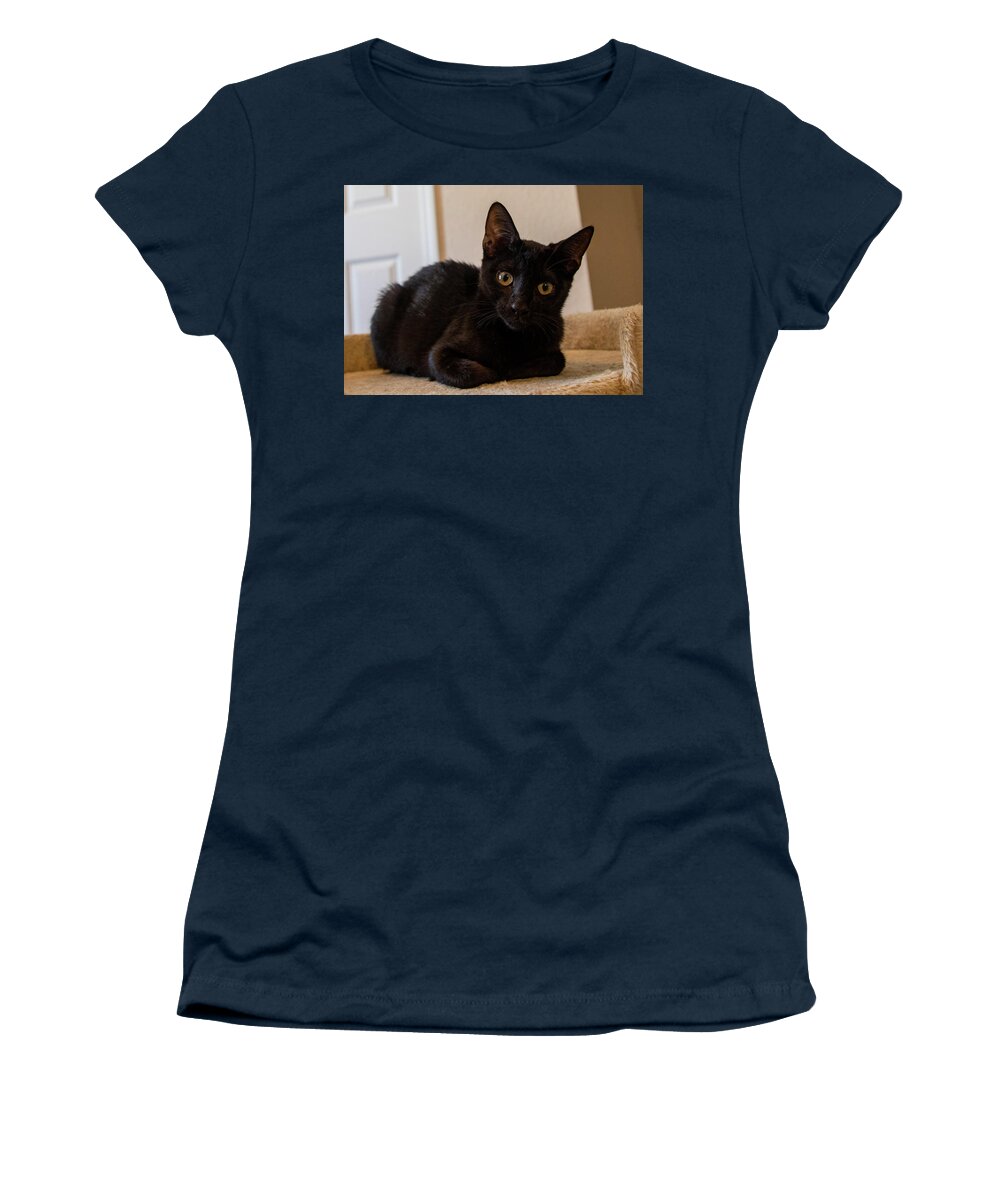 Cat Women's T-Shirt featuring the photograph Black Cat by Dart Humeston
