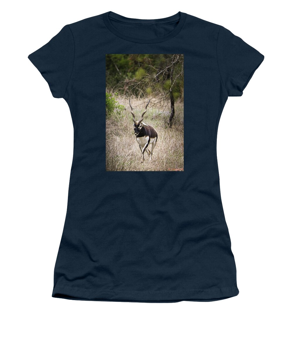 Black Women's T-Shirt featuring the photograph Blackbuck Antelope 2 by Rene Vasquez