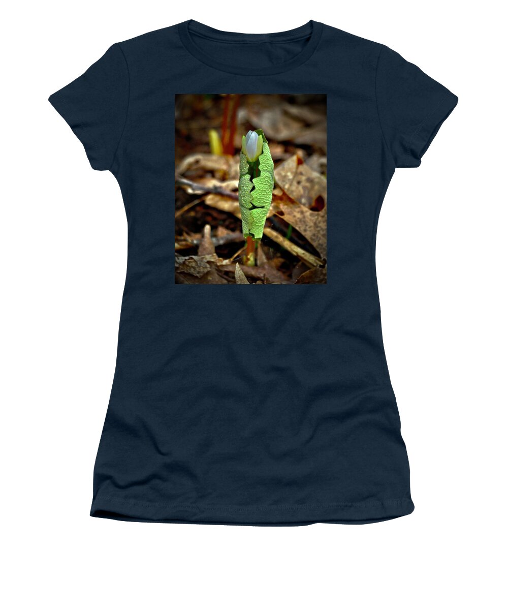 Bloodroot Women's T-Shirt featuring the photograph Bloodroot Unfolding by Sarah Lilja
