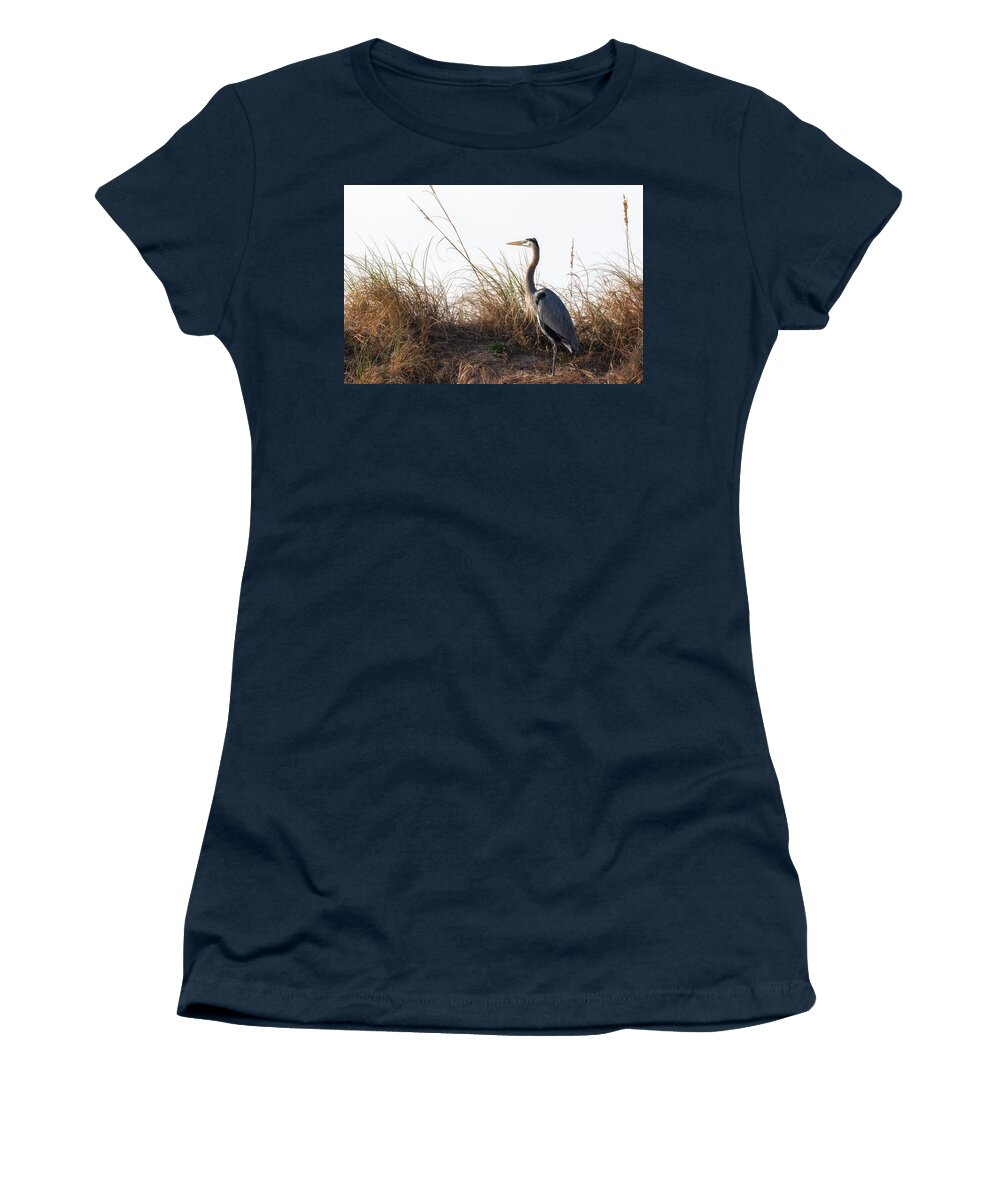 Blue Heron Women's T-Shirt featuring the photograph Blue Heron on the Dunes by Susan Rissi Tregoning