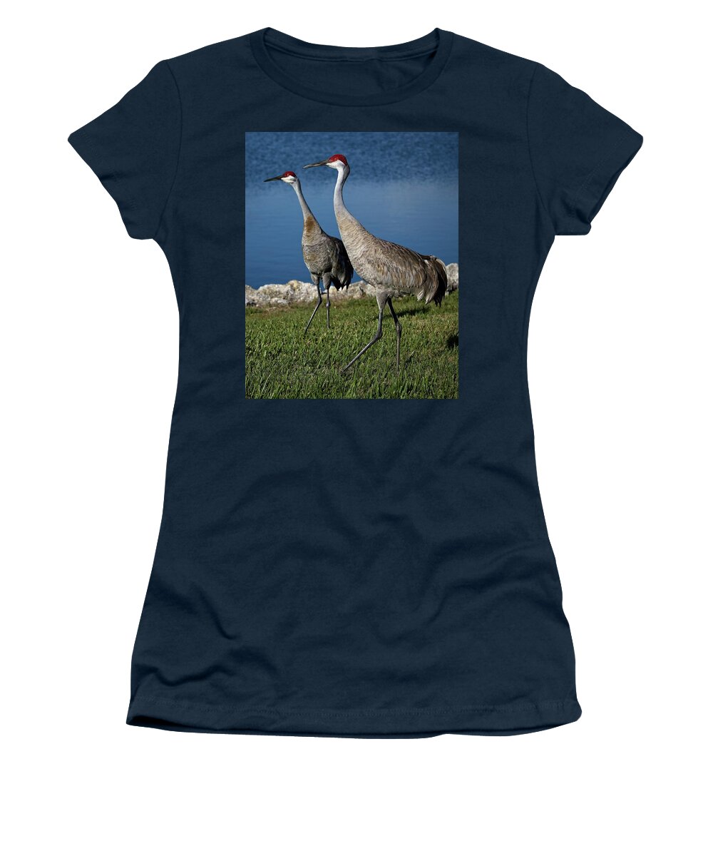 Nature Women's T-Shirt featuring the photograph Breeding Time by Ronald Lutz
