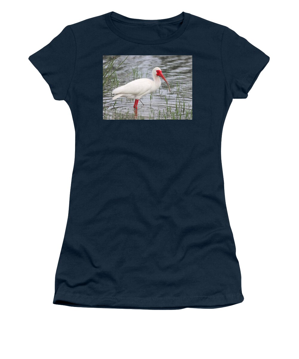 White Ibis Women's T-Shirt featuring the photograph Bright Red and Pure White by Mingming Jiang