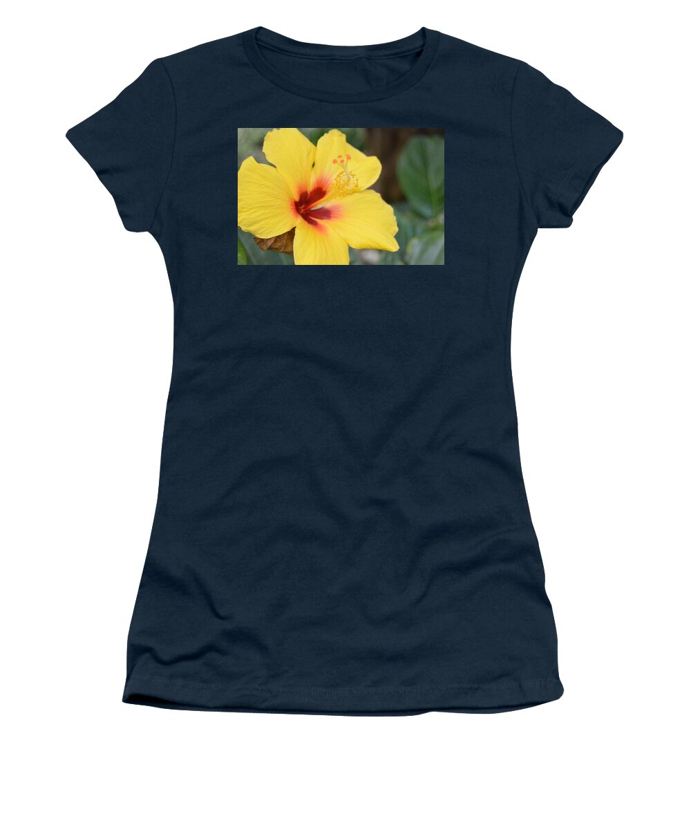 Flower Women's T-Shirt featuring the photograph Bright Yellow Hibiscus by Amy Fose