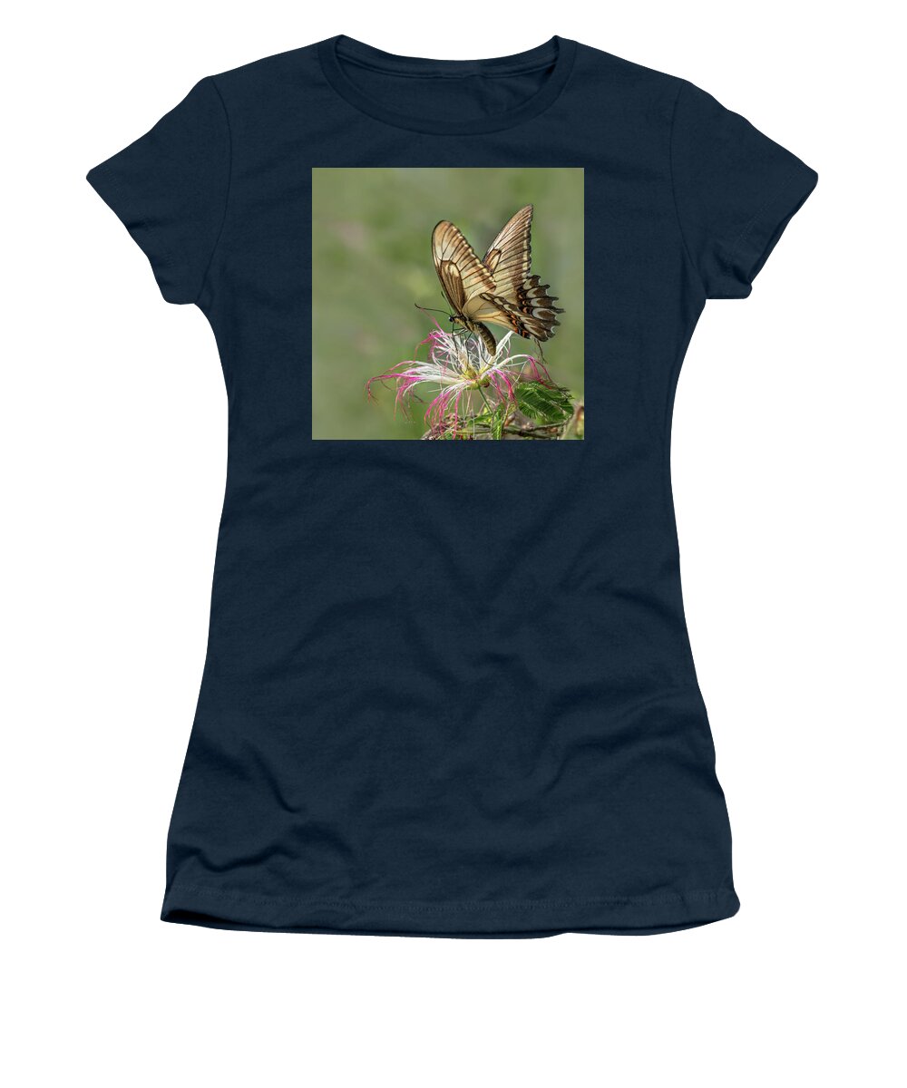 Butterfly Women's T-Shirt featuring the photograph Broad Banded Swallowtail Butterlfy by Linda Villers
