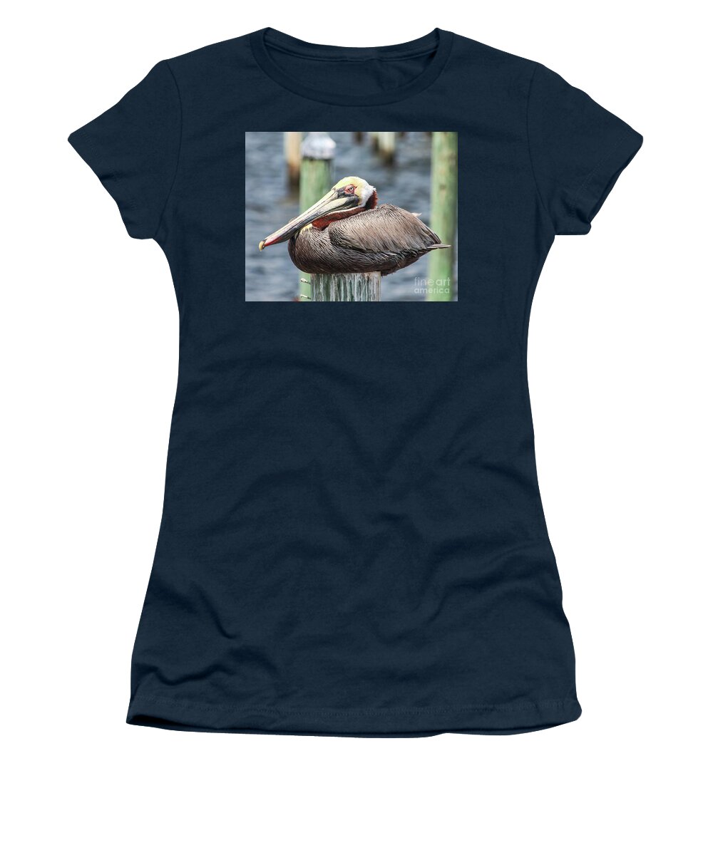 Brown Pelican Women's T-Shirt featuring the photograph Brown pelican resting on a stoop by Joanne Carey