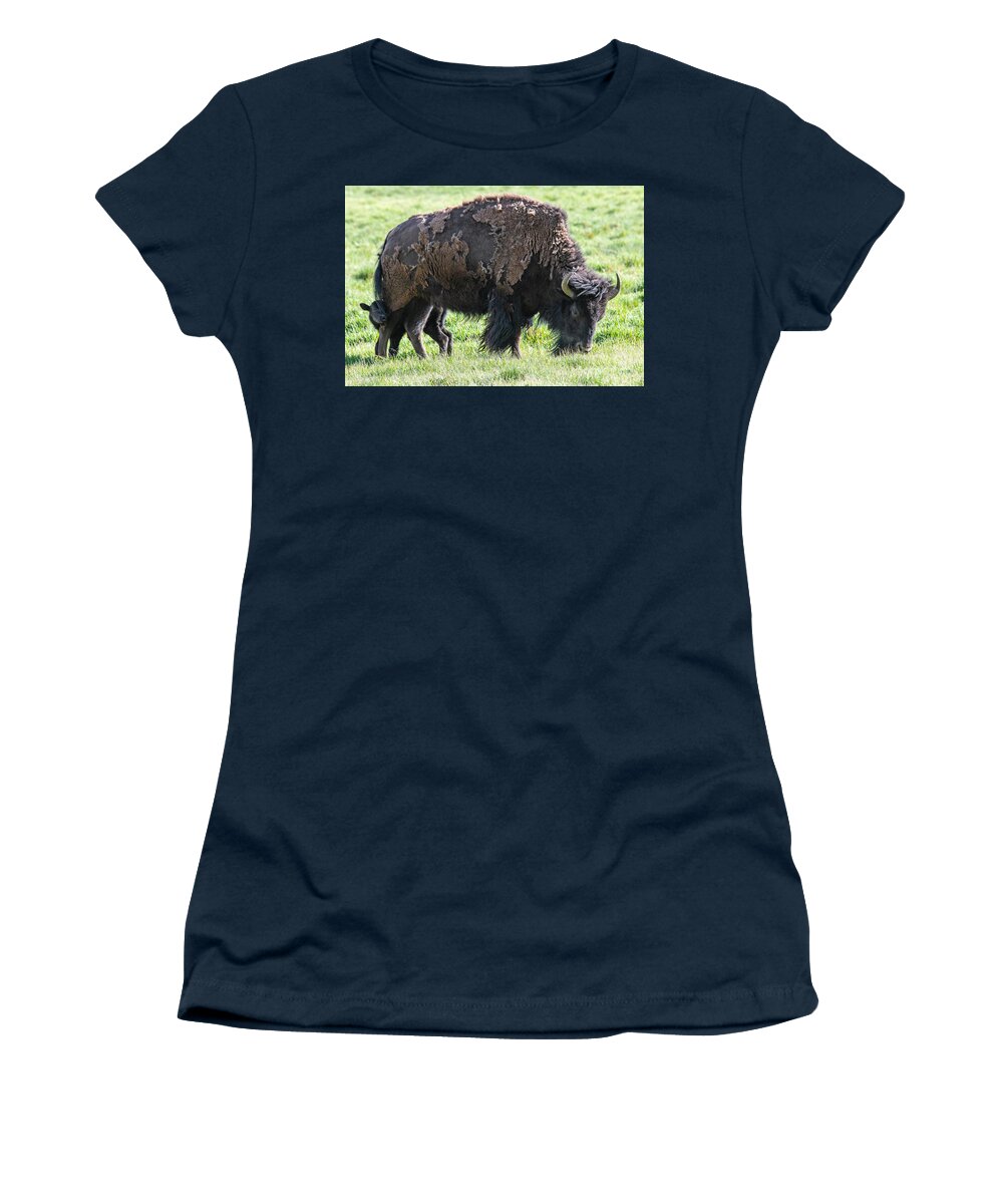 Buffalo With Baby Beefalo Women's T-Shirt featuring the digital art Buffalo with baby beefalo by Tammy Keyes