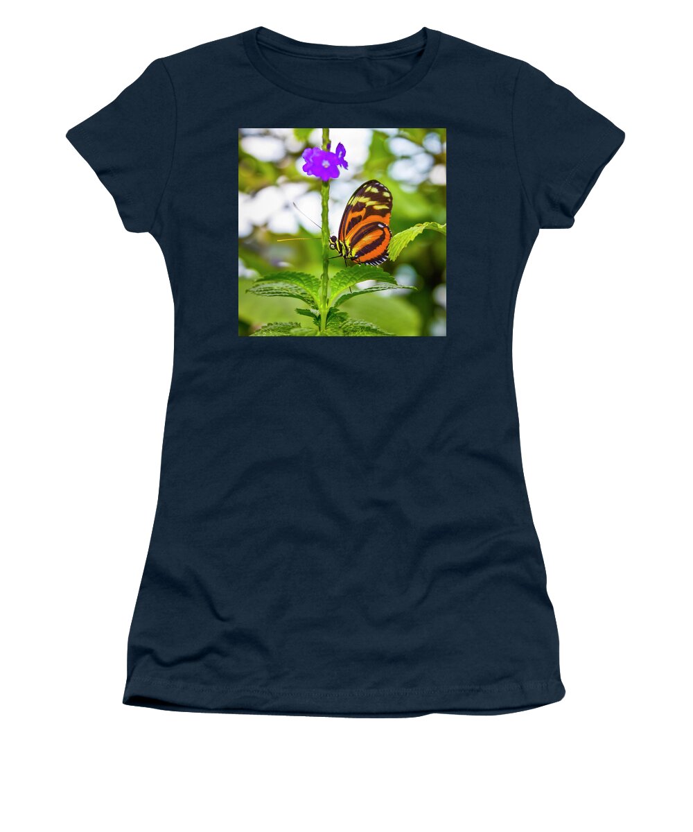 Butterfly Women's T-Shirt featuring the photograph Butterfly by David Beechum