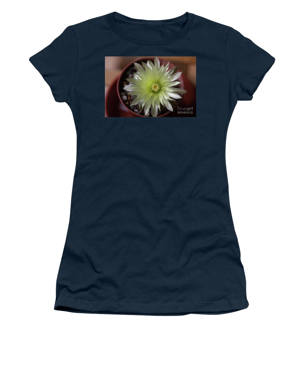 Gymnocalycium Denudatum Women's T-Shirt featuring the photograph Cactus in Blossom by Eva Lechner