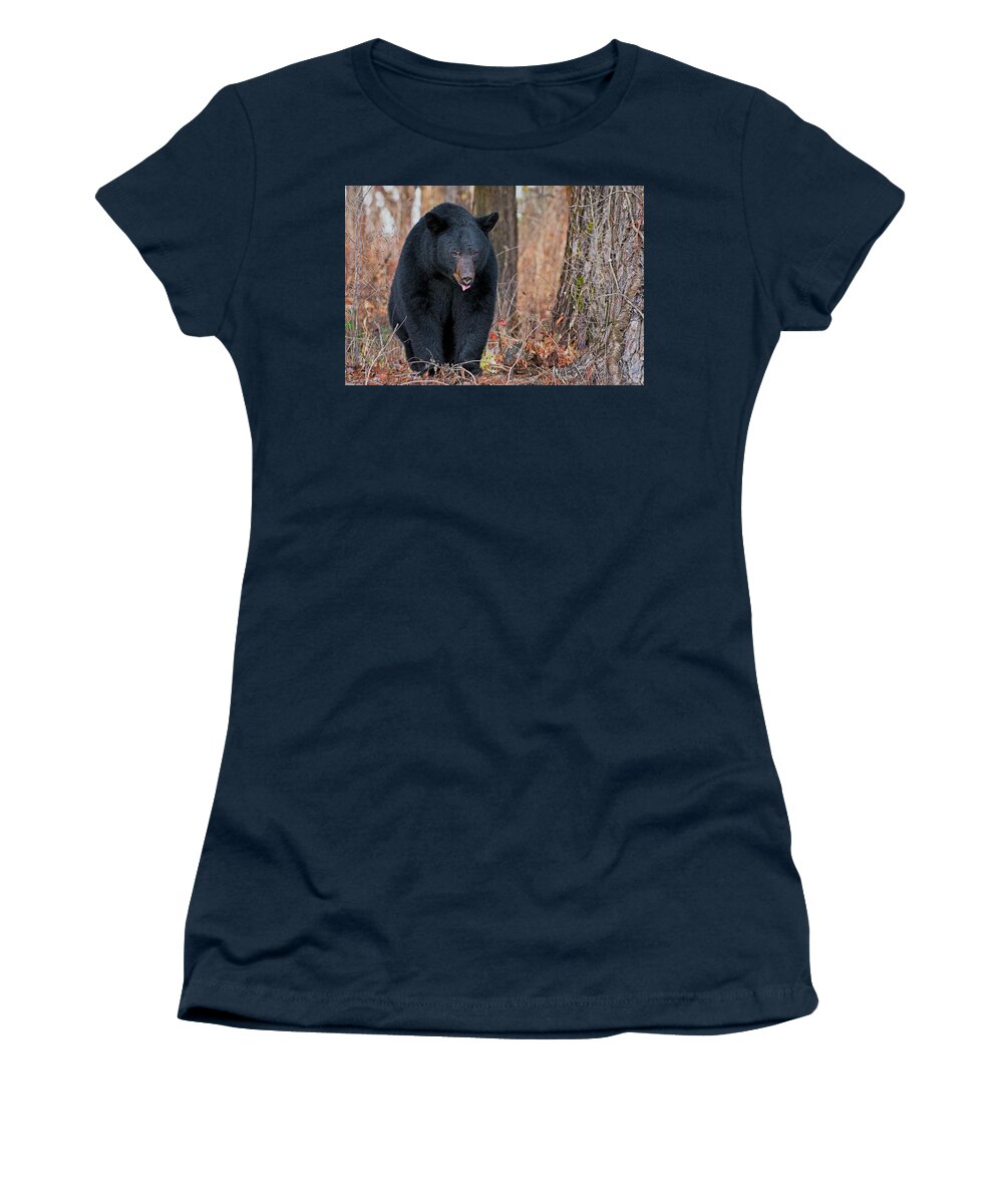 American Black Bear Women's T-Shirt featuring the photograph Cades Cove Black Bear by Rhonda McClure