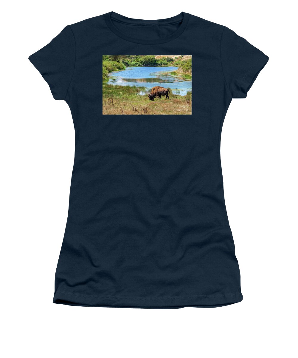 Catalina Women's T-Shirt featuring the photograph Catalina Bison by Eddie Yerkish