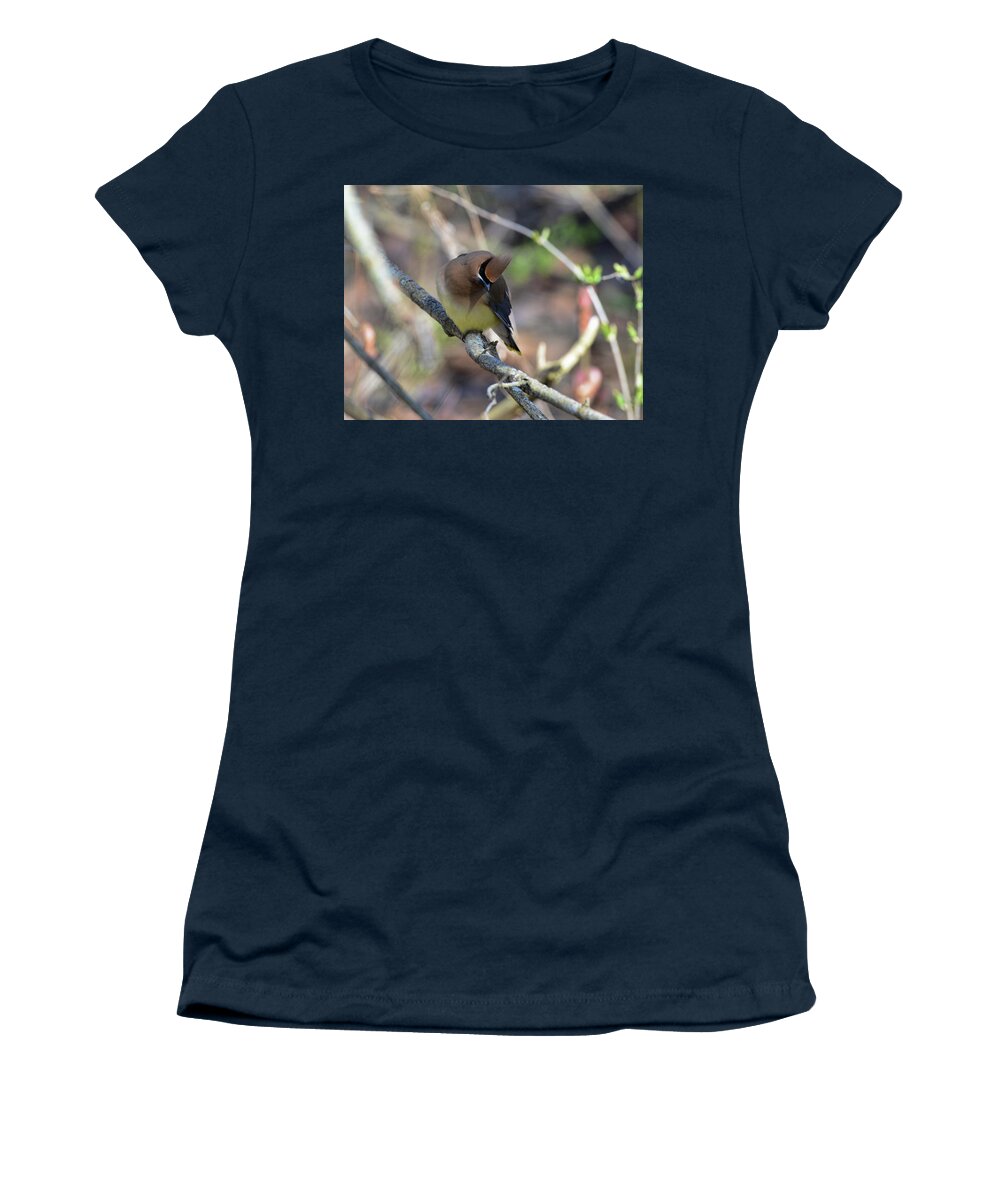  Women's T-Shirt featuring the photograph Cedar Waxwing 6 by David Armstrong