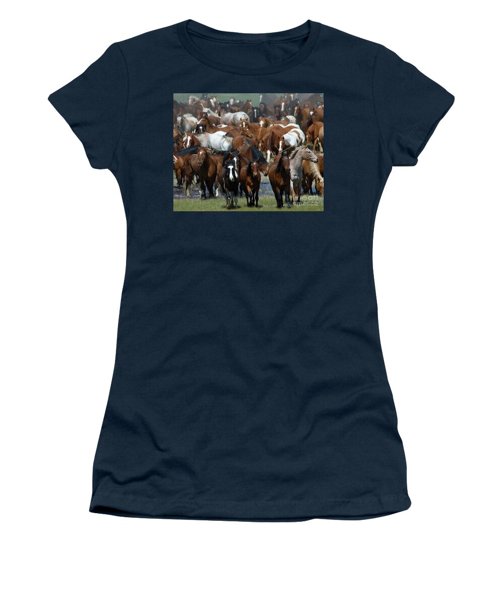 Horses Women's T-Shirt featuring the photograph Chaos in the Herd by Jody Miller
