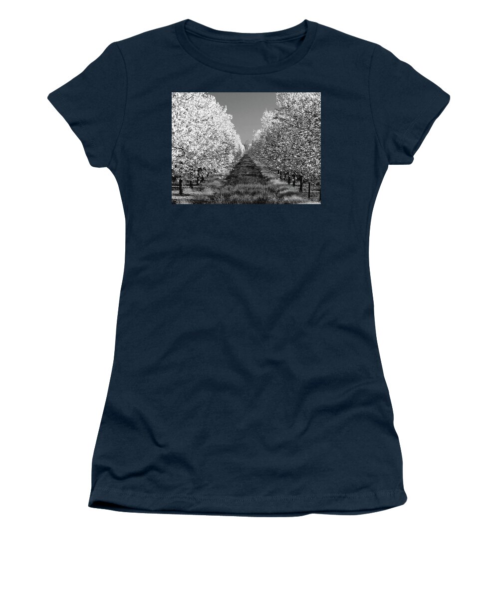 Cherry Orchard Women's T-Shirt featuring the photograph Cherry Blossom Perspective B W by David T Wilkinson