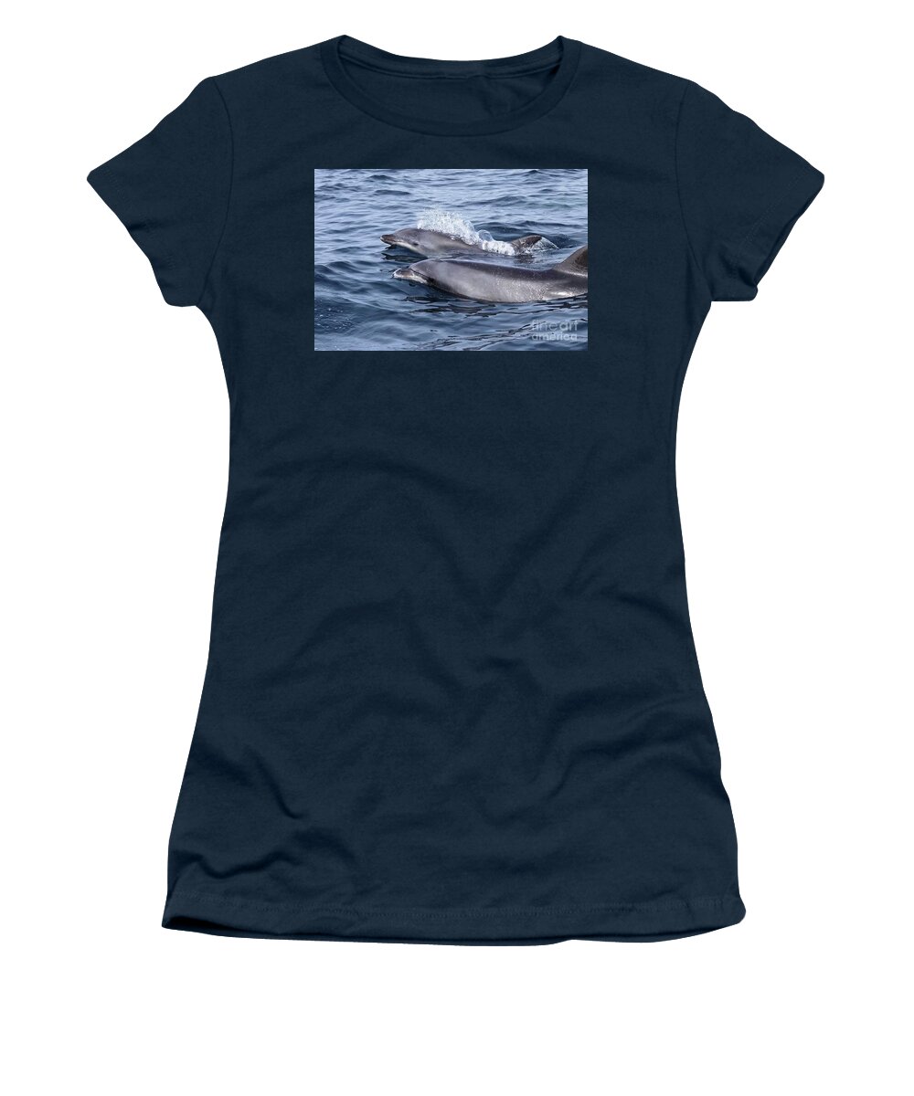  Women's T-Shirt featuring the photograph Common Dolphin Friends by Loriannah Hespe